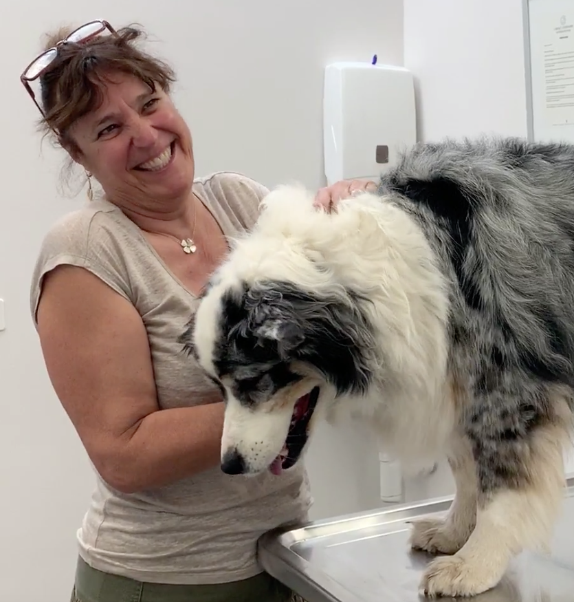 cliente avec chien, Vétérinaire Coppet, Veterinaire Coppet, Coppet Veterinaire, Coppet Vétérinaire, cabinet vétérinaire Coppet, cabinet veterinaire Coppet, clinique vétérinaire Coppet, vétérinaire de Garde Coppet,veterinaire de Garde Coppet, Cabinet Vétérinaire International