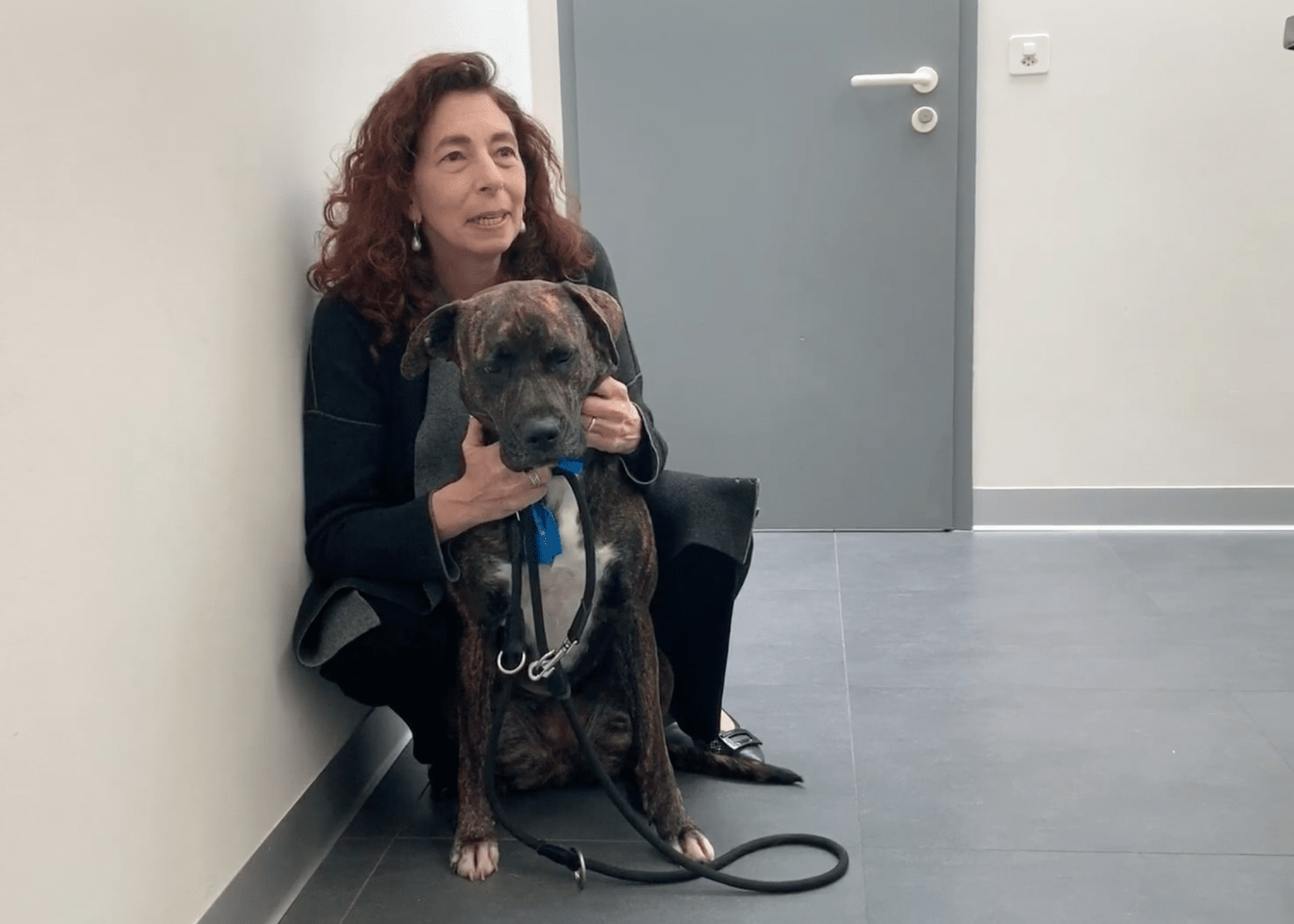 Vétérinaire Coppet, Veterinaire Coppet, Coppet Veterinaire, Coppet Vétérinaire, cabinet vétérinaire Coppet, cabinet veterinaire Coppet, clinique vétérinaire Coppet, vétérinaire de Garde Coppet,veterinaire de Garde Coppet, Cabinet Vétérinaire International