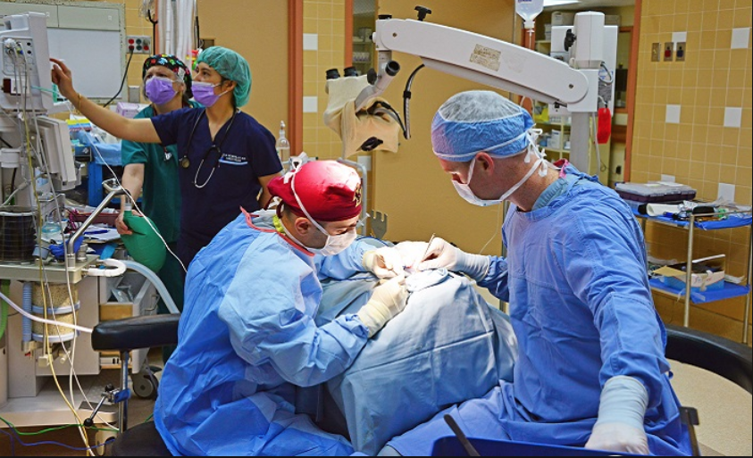 Vétérinaire Coppet, Veterinaire Coppet, Coppet Veterinaire, Coppet Vétérinaire, cabinet vétérinaire Coppet, cabinet veterinaire Coppet, clinique vétérinaire Coppet, vétérinaire de Garde Coppet,veterinaire de Garde Coppet, Cabinet Vétérinaire International