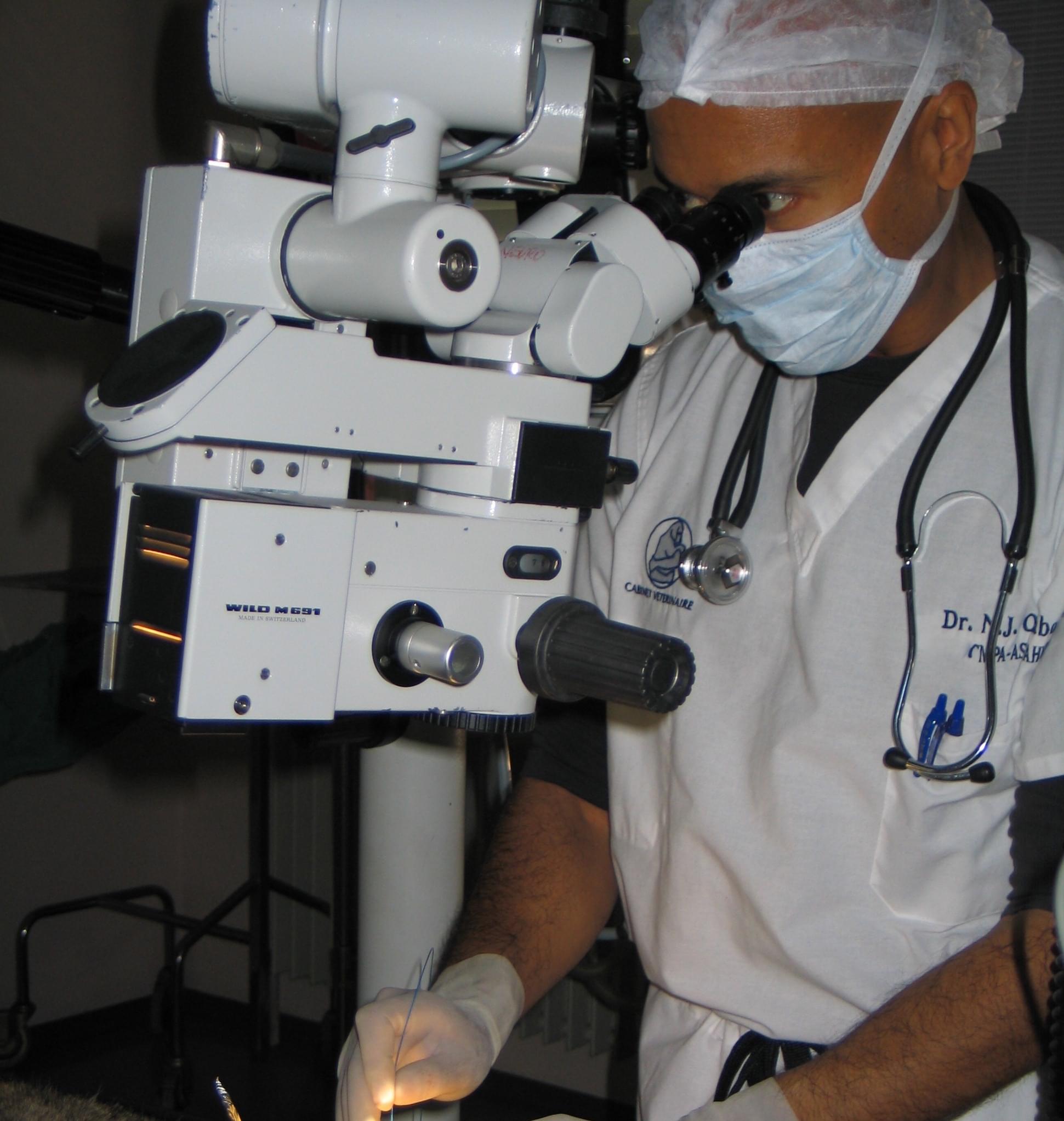 Dr Omaboe, Vétérinaire Coppet, Veterinaire Coppet, Coppet Veterinaire, Coppet Vétérinaire, cabinet vétérinaire Coppet, cabinet veterinaire Coppet, clinique vétérinaire Coppet, vétérinaire de Garde Coppet,veterinaire de Garde Coppet, Cabinet Vétérinaire International