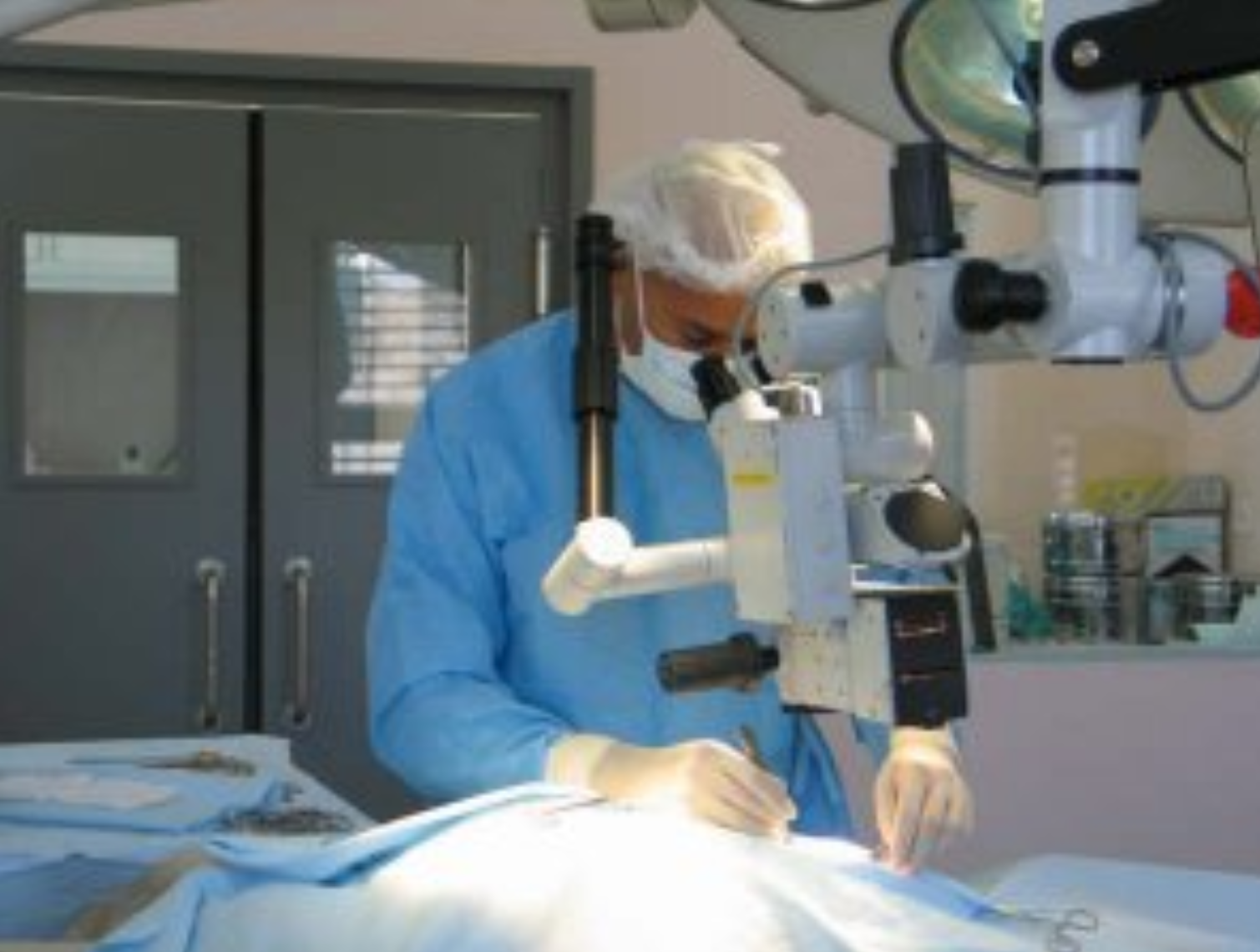 Dr. Omaboe, Vétérinaire Coppet, Veterinaire Coppet, Coppet Veterinaire, Coppet Vétérinaire, cabinet vétérinaire Coppet, cabinet veterinaire Coppet, clinique vétérinaire Coppet, vétérinaire de Garde Coppet,veterinaire de Garde Coppet, Cabinet Vétérinaire International