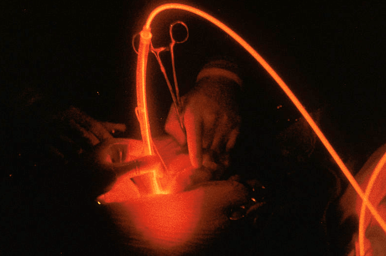 Vétérinaire Coppet, Veterinaire Coppet, Coppet Veterinaire, Coppet Vétérinaire, cabinet vétérinaire Coppet, cabinet veterinaire Coppet, clinique vétérinaire Coppet, vétérinaire de Garde Coppet,veterinaire de Garde Coppet, Cabinet Vétérinaire International