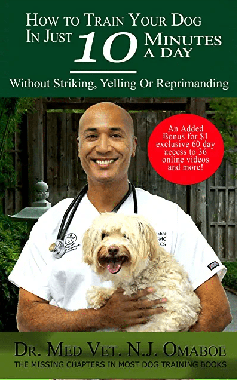 Vétérinaire Coppet, Veterinaire Coppet, Coppet Veterinaire, Coppet Vétérinaire, cabinet vétérinaire Coppet, cabinet veterinaire Coppet, clinique vétérinaire Coppet, vétérinaire de Garde Coppet,veterinaire de Garde Coppet, Cabinet Vétérinaire International