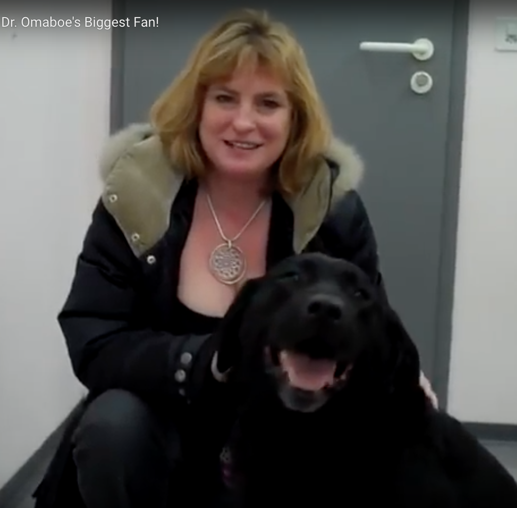 labrador, Vétérinaire Coppet, Veterinaire Coppet, Coppet Veterinaire, Coppet Vétérinaire, cabinet vétérinaire Coppet, cabinet veterinaire Coppet, clinique vétérinaire Coppet, vétérinaire de Garde Coppet,veterinaire de Garde Coppet, Cabinet Vétérinaire International