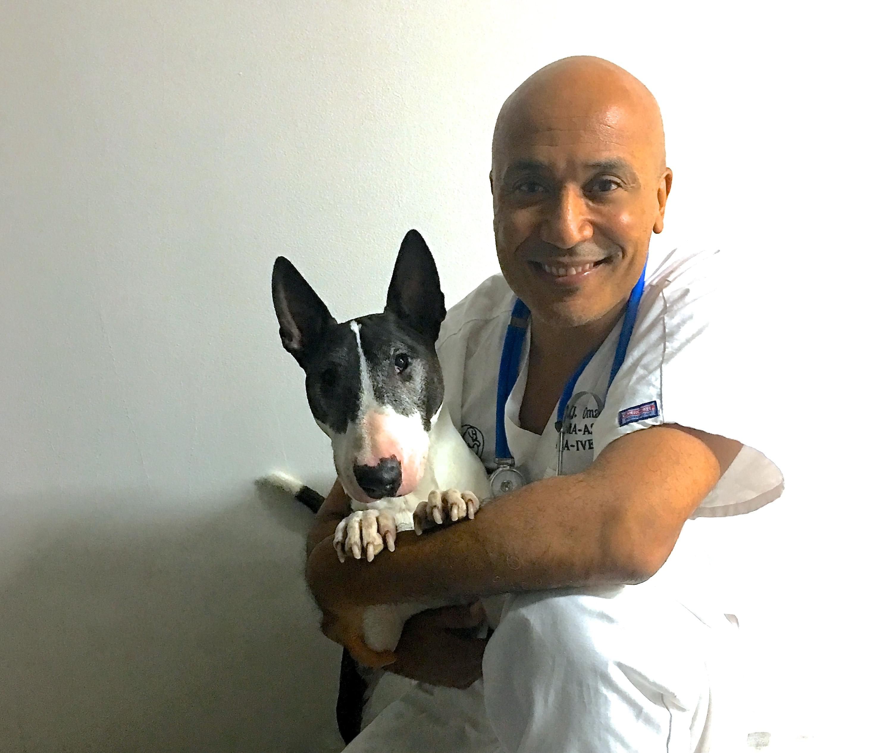 Vétérinaire Coppet, Veterinaire Coppet, Coppet Veterinaire, Coppet Vétérinaire, cabinet vétérinaire Coppet, cabinet veterinaire Coppet, clinique vétérinaire Coppet, vétérinaire de Garde Coppet,veterinaire de Garde Coppet, Cabinet Vétérinaire International