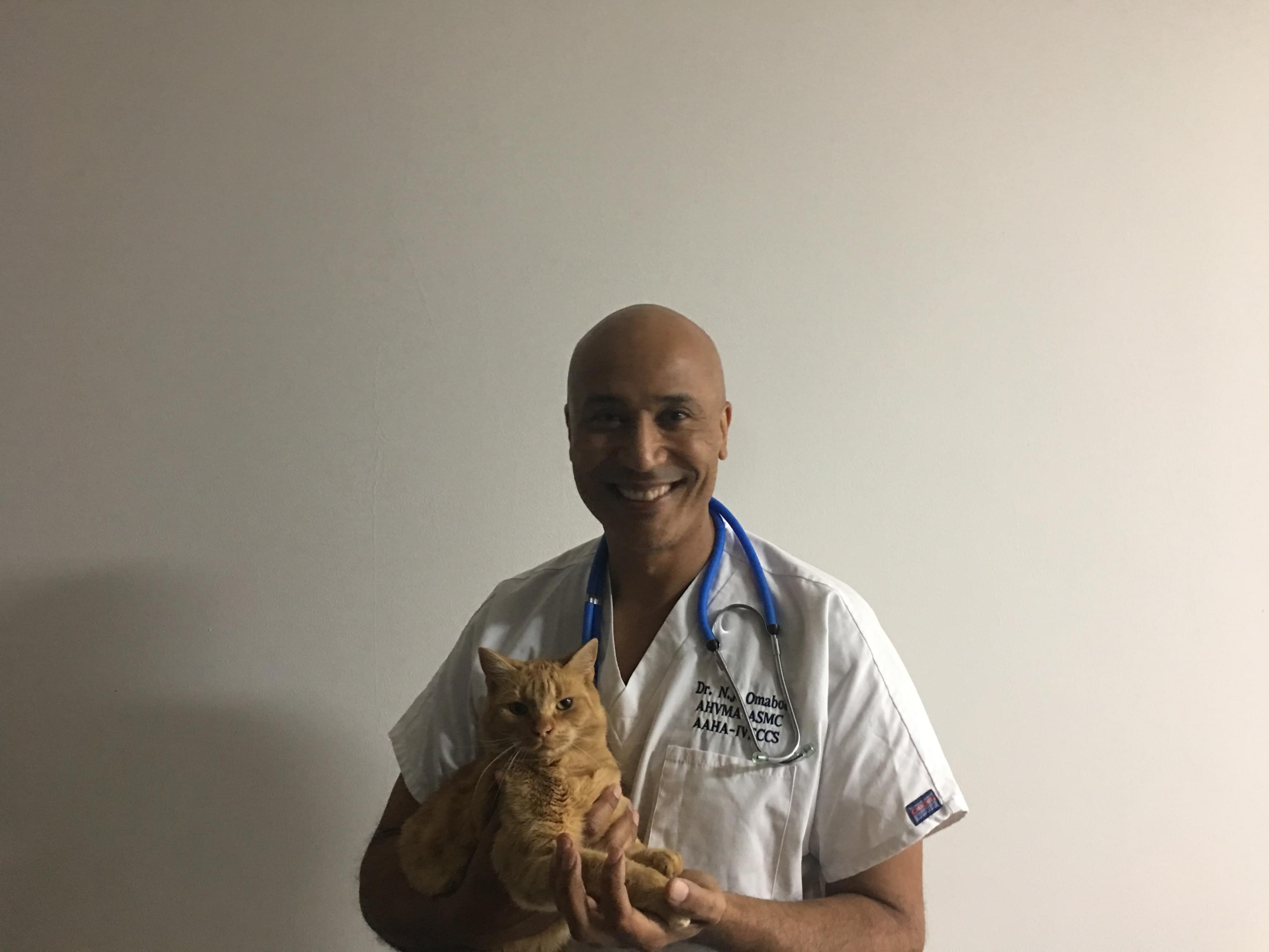 Vétérinaire Coppet, Veterinaire Coppet, Coppet Veterinaire, Coppet Vétérinaire, cabinet vétérinaire Coppet, cabinet veterinaire Coppet, clinique vétérinaire Coppet, vétérinaire de Garde Coppet,veterinaire de Garde Coppet, Cabinet Vétérinaire International